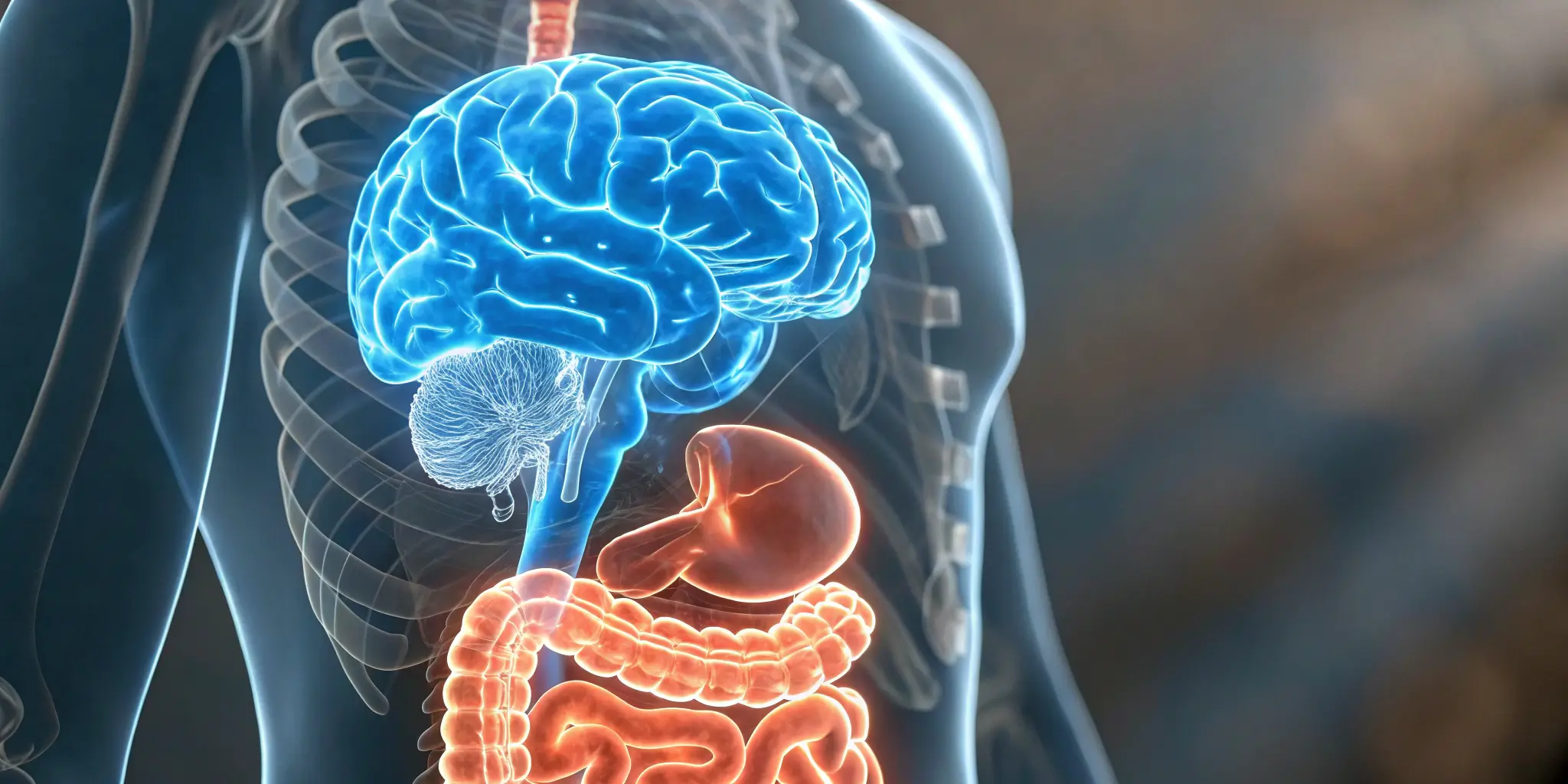 Gut health tips